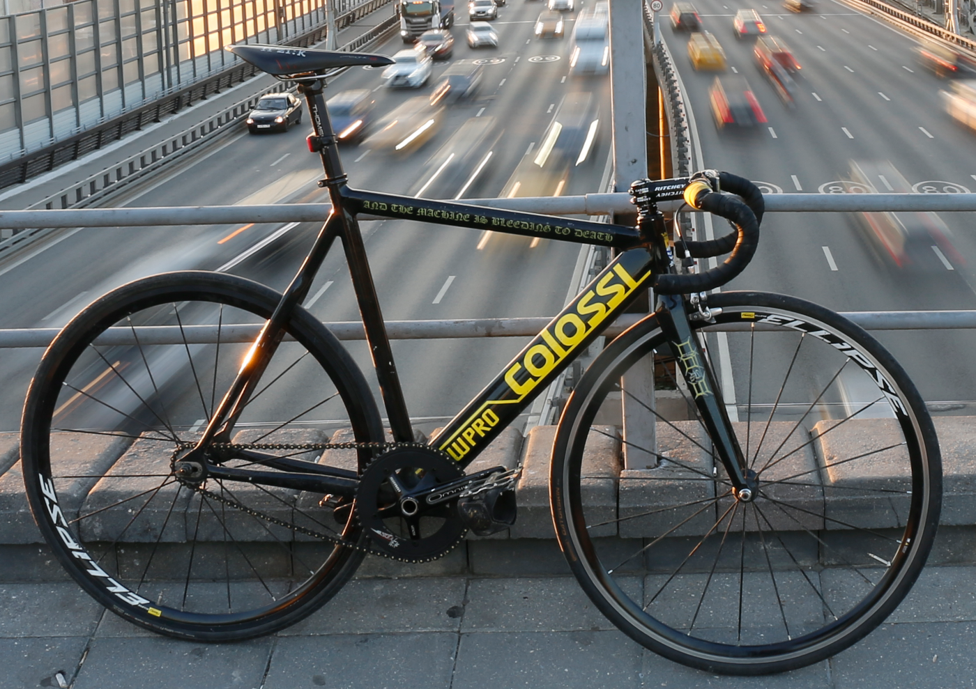 colossi lowpro